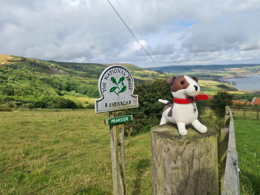 Beachy Keen At Robin Hood’s Bay!