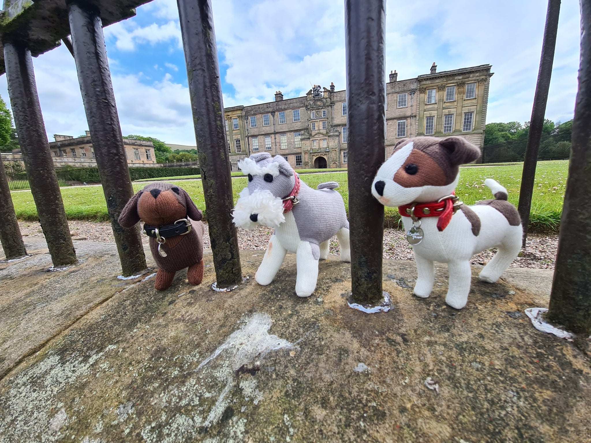 Fun In The Sun At Lyme Park!