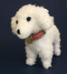 Poodle personalised gift for poodle lovers